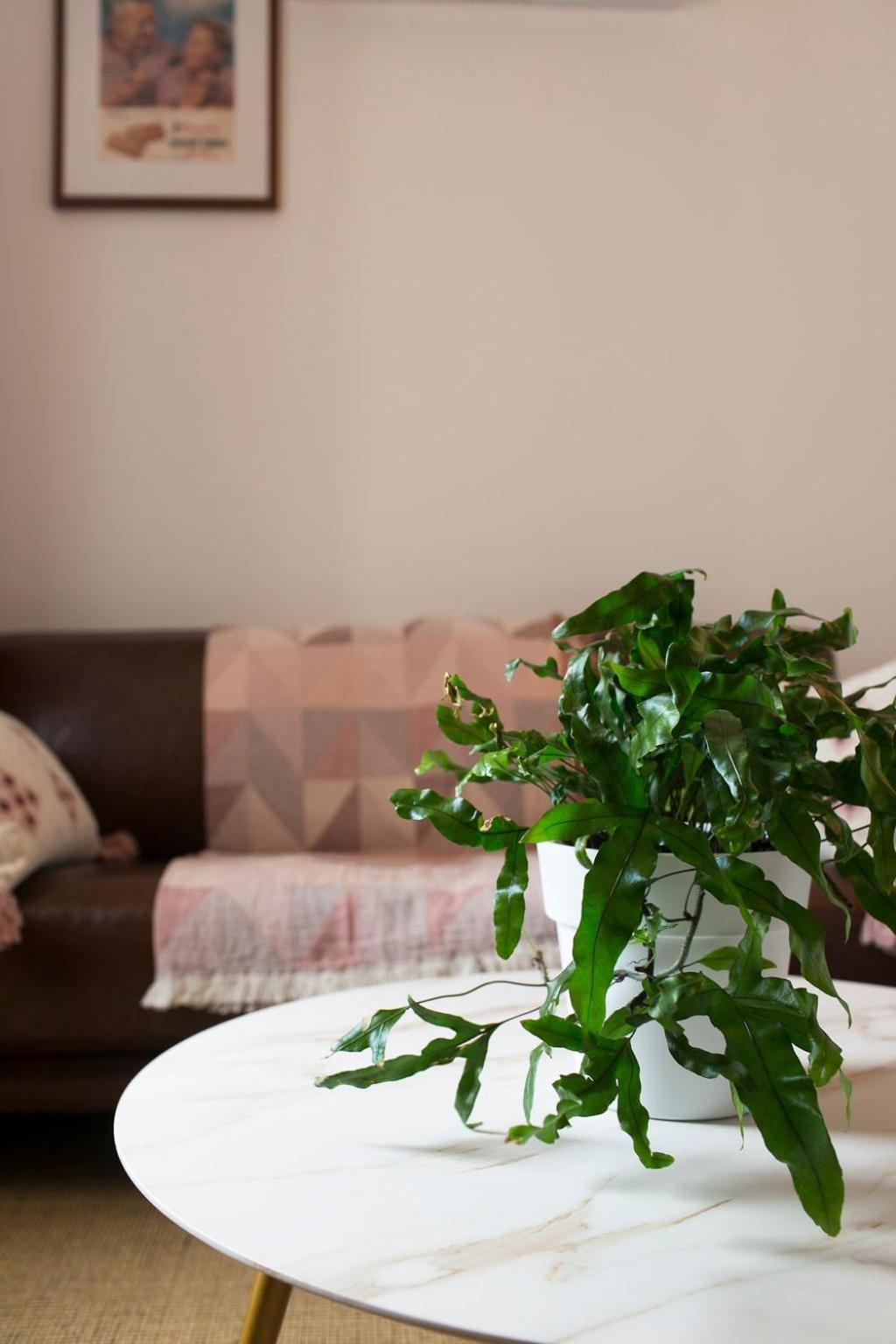 William Arnott Boutique Accommodation Morpeth Ruang foto